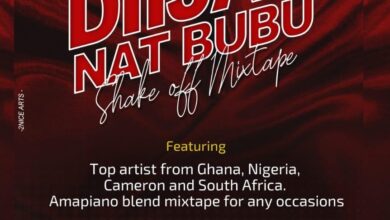 diijay nat bubu shake off mixtape vol 1 dj mix